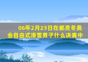 06年2月23日在都灵冬奥会自由式滑雪男子什么决赛中