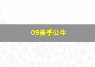 09赛季公牛