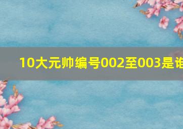 10大元帅编号002至003是谁