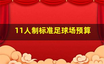 11人制标准足球场预算