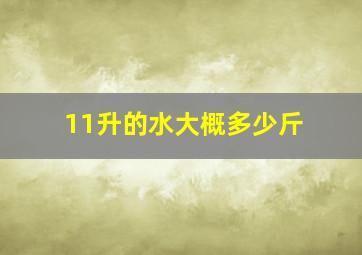 11升的水大概多少斤