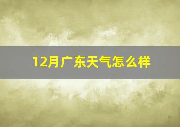 12月广东天气怎么样