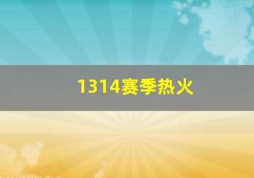 1314赛季热火