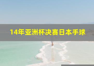 14年亚洲杯决赛日本手球