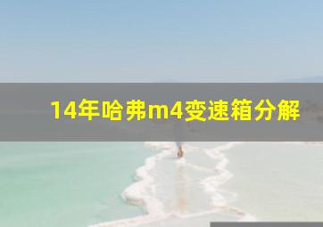 14年哈弗m4变速箱分解