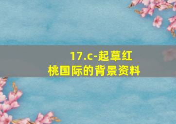 17.c-起草红桃国际的背景资料