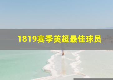 1819赛季英超最佳球员