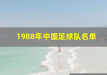 1988年中国足球队名单