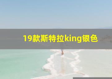 19款斯特拉king银色