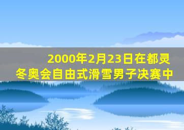 2000年2月23日在都灵冬奥会自由式滑雪男子决赛中