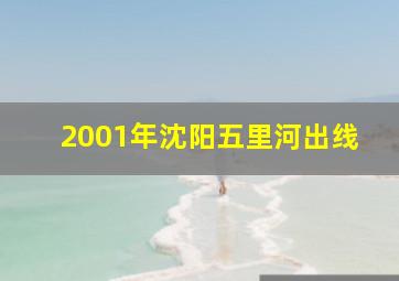 2001年沈阳五里河出线