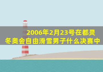 2006年2月23号在都灵冬奥会自由滑雪男子什么决赛中