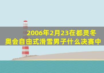 2006年2月23在都灵冬奥会自由式滑雪男子什么决赛中