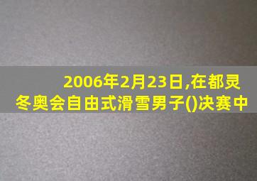 2006年2月23日,在都灵冬奥会自由式滑雪男子()决赛中