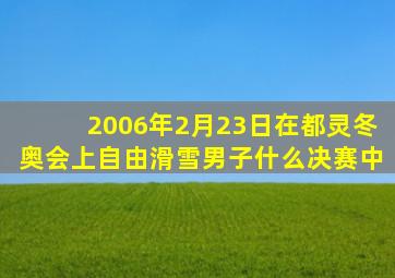 2006年2月23日在都灵冬奥会上自由滑雪男子什么决赛中