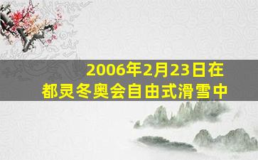 2006年2月23日在都灵冬奥会自由式滑雪中