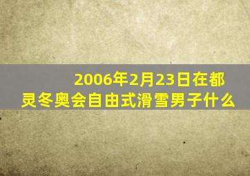 2006年2月23日在都灵冬奥会自由式滑雪男子什么