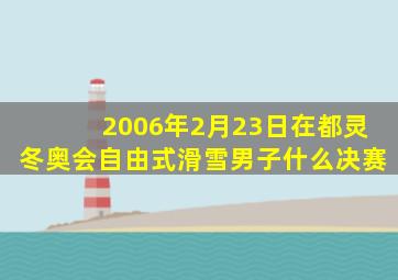 2006年2月23日在都灵冬奥会自由式滑雪男子什么决赛