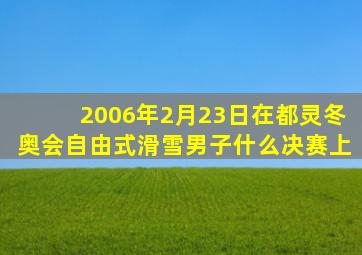 2006年2月23日在都灵冬奥会自由式滑雪男子什么决赛上