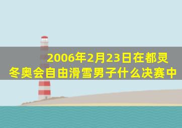 2006年2月23日在都灵冬奥会自由滑雪男子什么决赛中