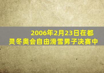 2006年2月23日在都灵冬奥会自由滑雪男子决赛中