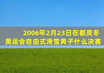 2006年2月23日在都灵冬奥运会自由式滑雪男子什么决赛