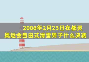 2006年2月23日在都灵奥运会自由式滑雪男子什么决赛