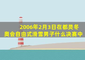 2006年2月3日在都灵冬奥会自由式滑雪男子什么决赛中