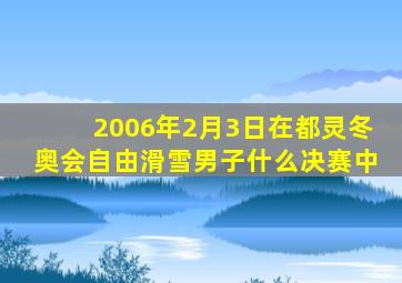 2006年2月3日在都灵冬奥会自由滑雪男子什么决赛中