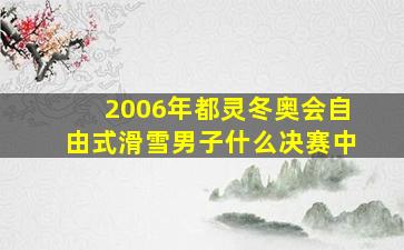 2006年都灵冬奥会自由式滑雪男子什么决赛中