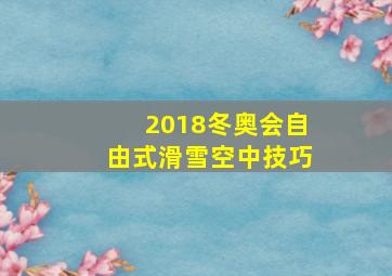 2018冬奥会自由式滑雪空中技巧