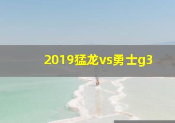 2019猛龙vs勇士g3