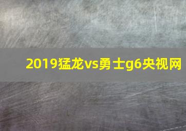 2019猛龙vs勇士g6央视网