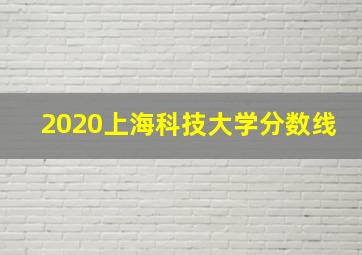 2020上海科技大学分数线