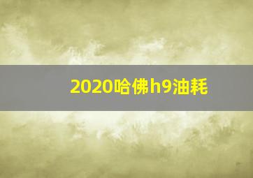 2020哈佛h9油耗