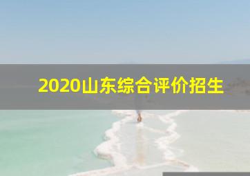 2020山东综合评价招生