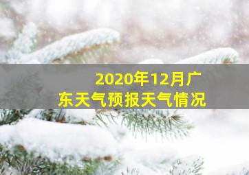 2020年12月广东天气预报天气情况