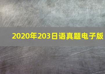 2020年203日语真题电子版