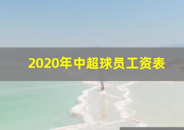 2020年中超球员工资表