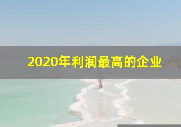 2020年利润最高的企业