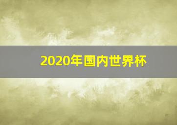 2020年国内世界杯