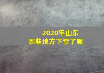 2020年山东哪些地方下雪了呢