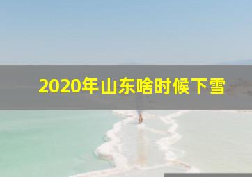 2020年山东啥时候下雪