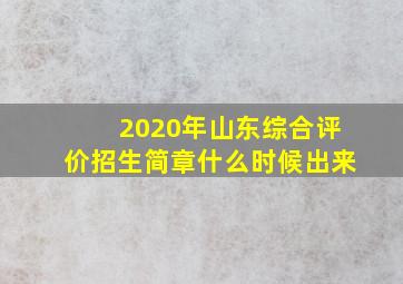 2020年山东综合评价招生简章什么时候出来