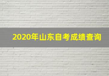 2020年山东自考成绩查询