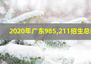 2020年广东985,211招生总数