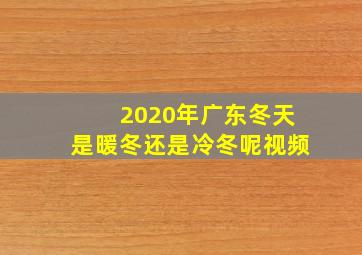 2020年广东冬天是暖冬还是冷冬呢视频