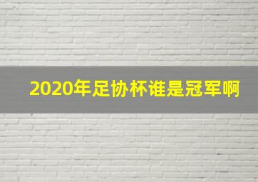 2020年足协杯谁是冠军啊