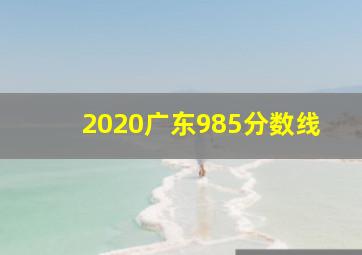 2020广东985分数线