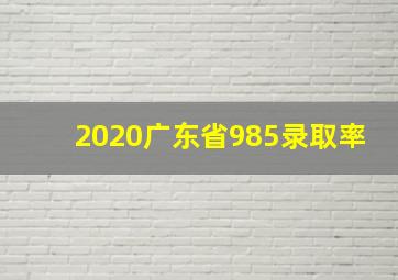 2020广东省985录取率